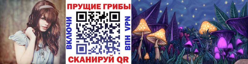 Псилоцибиновые грибы мицелий  Купить  Ивангород 