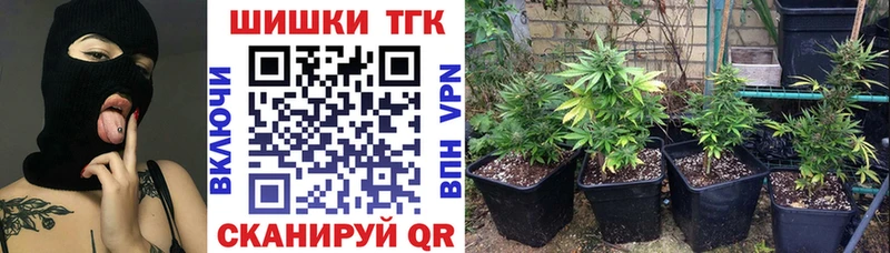 Шишки марихуана VHQ  Купить закладки  Ивангород 